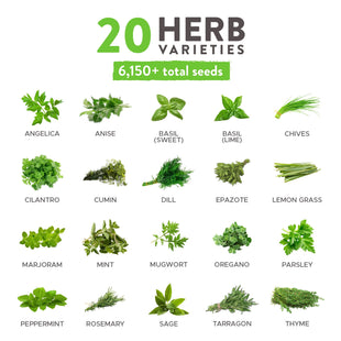 Home Grown Brand Heirloom Herb Seeds 20 Variety Pack