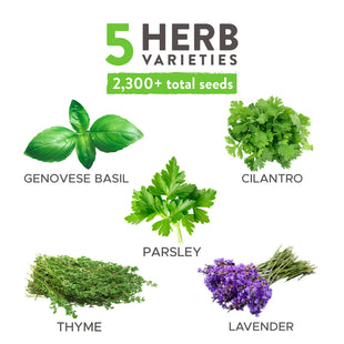 Home Grown Brand, Non-GMO, Heirloom Herbs (5 Varieties)