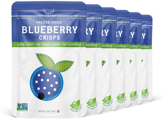 Nature’s Turn Freeze-Dried Fruit Snacks, Blueberry Crisps - Pack of 6 (1.2 oz Each)