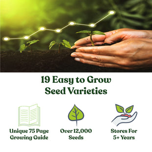 Bug Out Bag Survival Garden Vegetable & Herb Seeds - 12,000+ Seeds - Collection of 19 Heirloom Seed Varieties