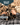 The Baby Tracker D2 Steel Bushcraft Survival Neck Knife Gift Set (Black and Gray)