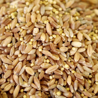 Rainy Day Foods 7-Grain Mix 25 lb. Bag - 199 Servings