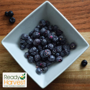 Ready Harvest Freeze-Dried Blueberries - 30 Year Shelf Life - Six #10 Cans