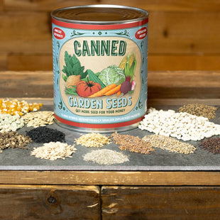 Mountain Valley Seed Company - Vegetable Garden Non-GMO 50,000+ Seeds (16 Varieties)