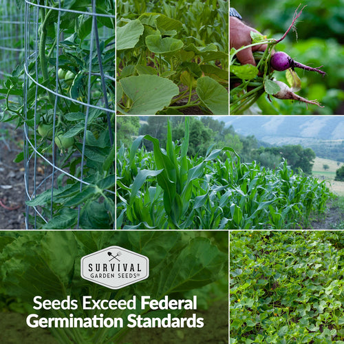 garden of green seed bank Survival Garden Seeds Home Garden Vegetable, Fruit & Herb Seed Ban – PrepSOS