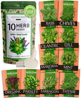 Home Grown 10 Culinary Herb Seeds Non-GMO, Heirloom Seeds - 3000+ Seeds for Planting for Outdoor or Indoor Planting