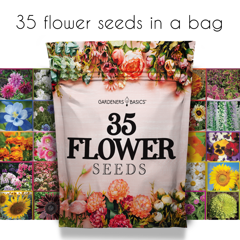 bags of wild flower seeds Wildflower, Perennial, Annual Flower Seed Kit