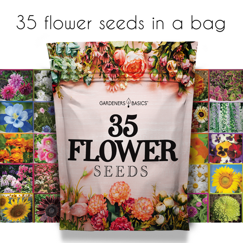 annual plant seeds Wildflower, Perennial, & Annual Flower Seed Kit