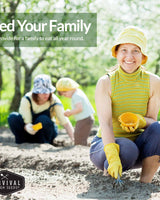 Hydroponic Herb Seed Collection