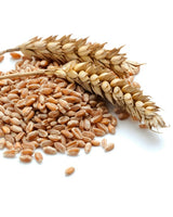 Augason-Farms-Hard-Red-Wheat