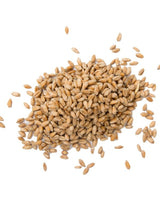 Augason-Farms-Hard-White-Wheat