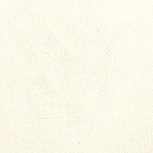 Harmony House Freeze Dried Banana Powder (4 Cups / 64 Tbs)