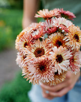 Edible Petals - Seed Collection