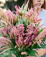 Freshly Cut Blooms - Seed Collection