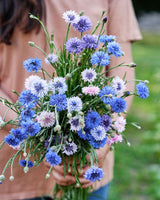 Edible Petals - Seed Collection