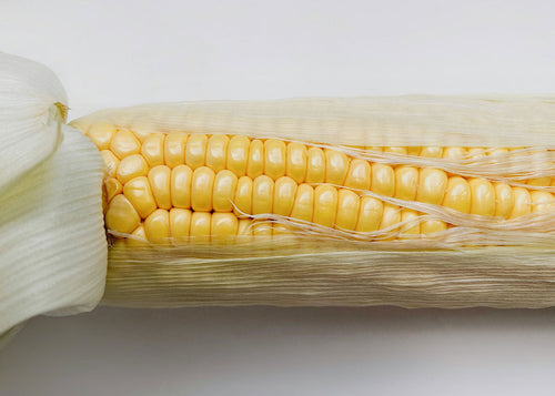 The Explorer : Rooted in America - Seed Collection