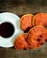 Enerhealth-Botanicals-NutriCafe-Organic-Reishi-Coffee-Cup