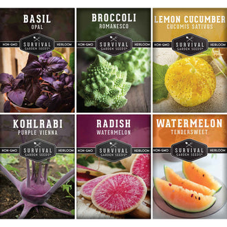 Rare Exotic Vegetable Seed Collection - Grow Something Unique in Your Garden