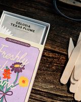 Freshly Cut Blooms - Seed Collection