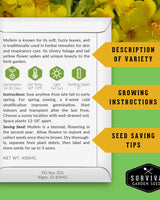 Herbalist Seed Bundle - 9 Important Medicinal Herbs