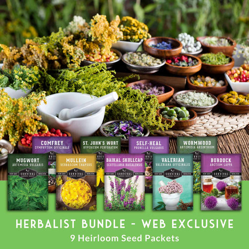 Herbalist Seed Bundle - 9 Important Medicinal Herbs