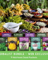 Herbalist Seed Bundle - 9 Important Medicinal Herbs