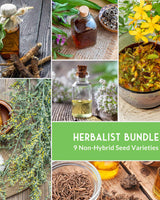 Herbalist Seed Bundle - 9 Important Medicinal Herbs