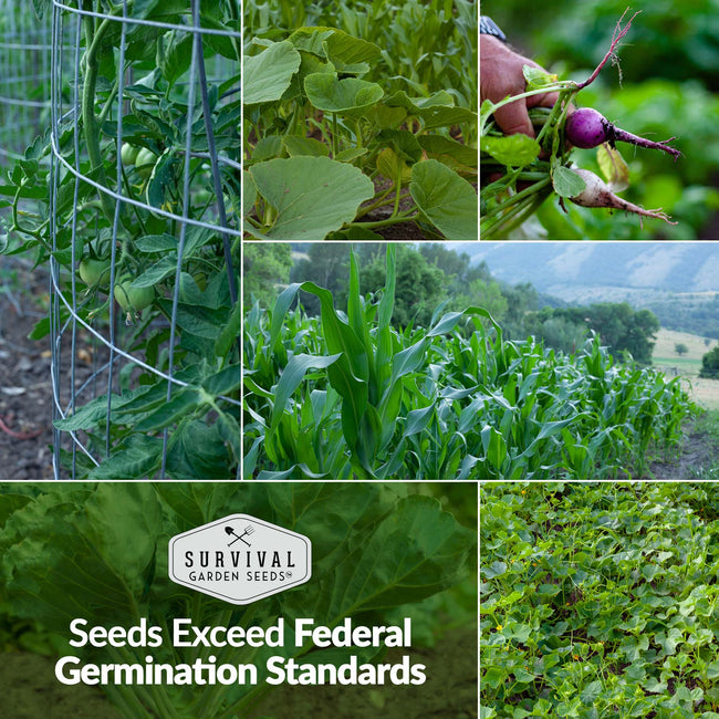 Family Home Garden Kit - 30 Easy to Grow Seeds for a Victory Garden