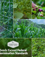 Family Home Garden Kit - 30 Easy to Grow Seeds for a Victory Garden
