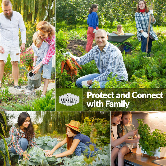 Starter Kit Seed Vault - 20 Delicious Varieties of Vegetables