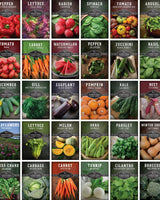 Family Home Garden Kit - 30 Easy to Grow Seeds for a Victory Garden