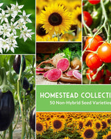 Homestead Garden Collection – 50 Essential Seeds for Self-Reliant Living