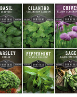 Hydroponic Herb Seed Collection