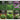 Hydroponic Herb Seed Collection