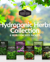 Hydroponic Herb Seed Collection