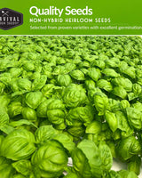 Hydroponic Herb Seed Collection