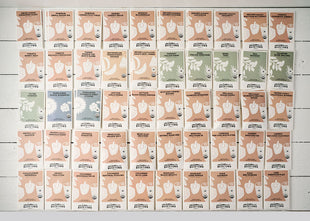 Emergency Seed Bank - Large - Organic Heirloom