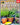Mother Earth News Collector Series Guide to Super Herbs, 4th Edition
