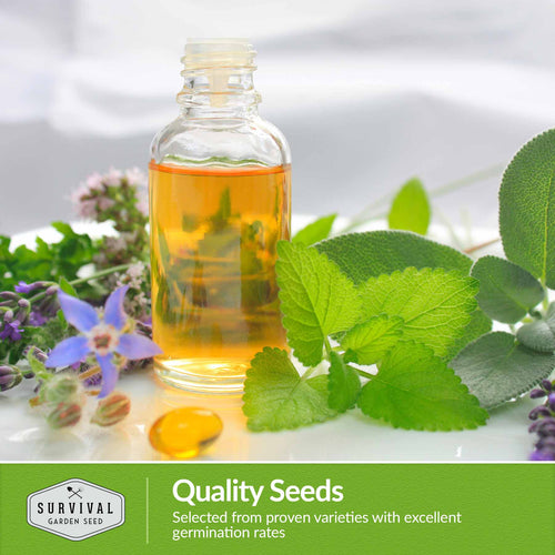 Medicinal Herb Collection - 18 Medicinal Herbs