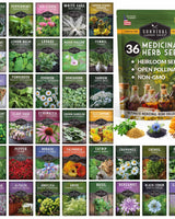 Medicinal Herb Garden - 36 Heirloom Seed Varieties for a Wellness Garden