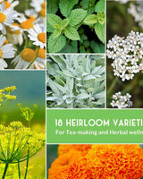Medicinal Herb Collection - 18 Medicinal Herbs