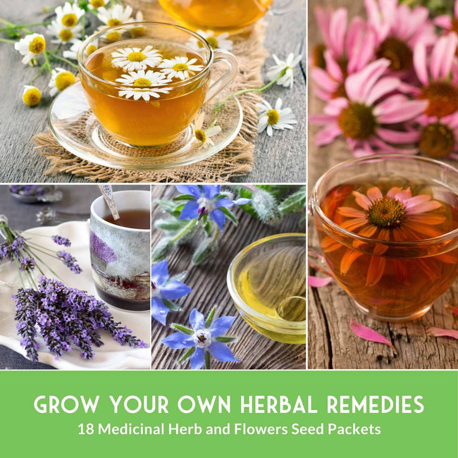 Medicinal Herb Collection - 18 Medicinal Herbs
