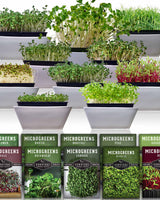 Microgreens 10 Variety Seed Kit
