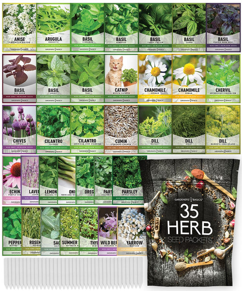 how to plant herbs from seeds Popular Herb Seeds for Planting