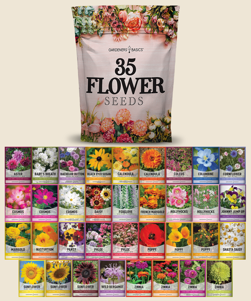 small wildflower seeds Wildflower, Perennial, & Annual Flower Seed Kit