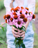 Homegrown Wellness - Seed Collection