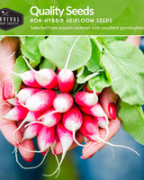 Root Vegetable Seed Collection - Cool Weather Favorites