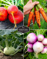 Root Vegetable Seed Collection - Cool Weather Favorites