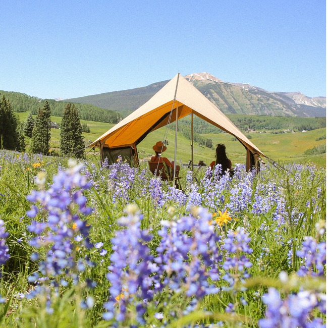 Rover Scout Tent 8' x 13'