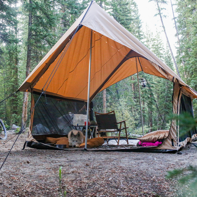 Rover Scout Tent 8' x 13'